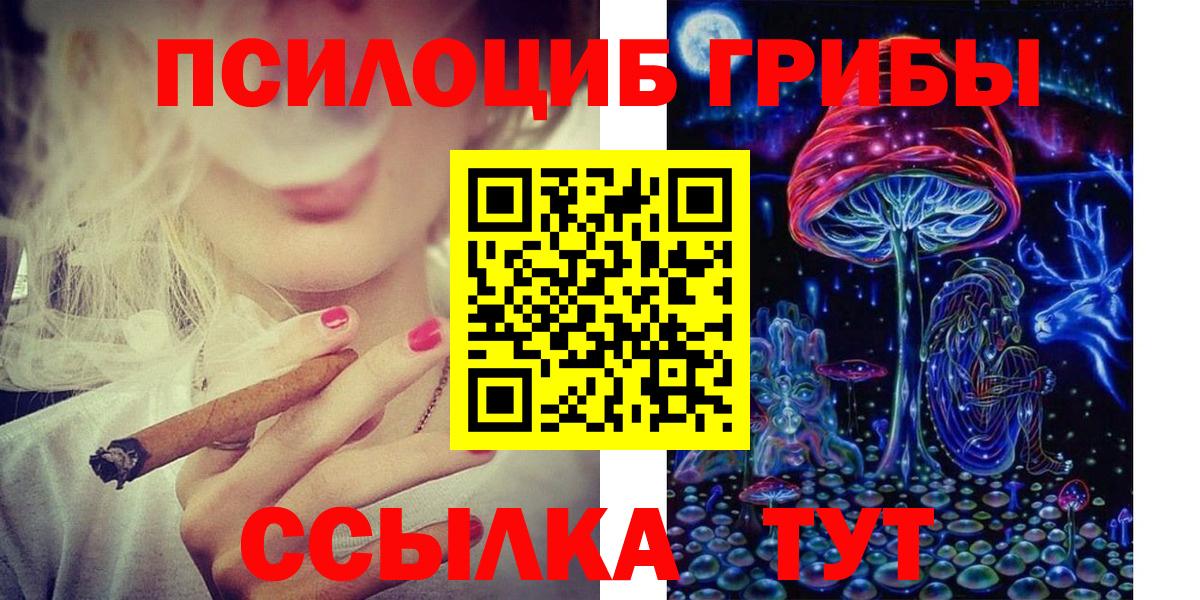 купить  цена  Вход с VPN  Новокубанск  Псилоцибиновые грибы Psilocybine cubensis 