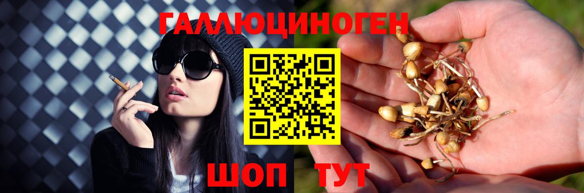 Псилоцибиновые грибы Magic Shrooms Новокубанск