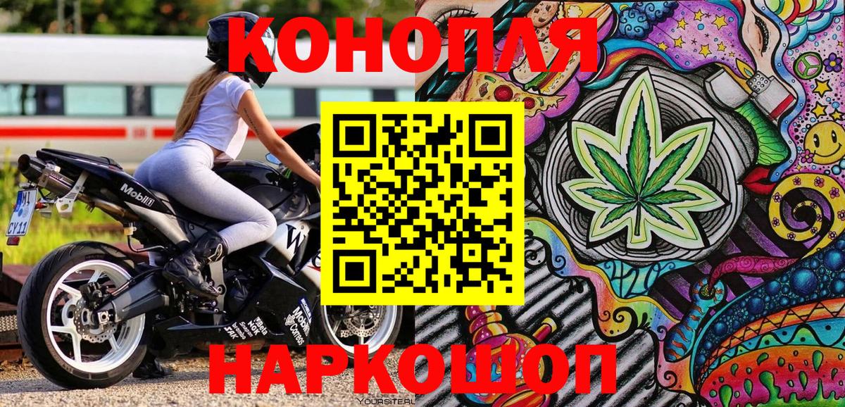 Каннабис семена Новокубанск